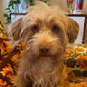 Meet your Posher, Claire